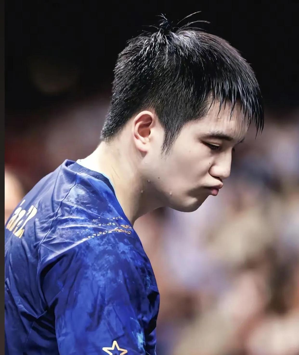 瑞典队绝杀奥地利队，樊振东扛起全队