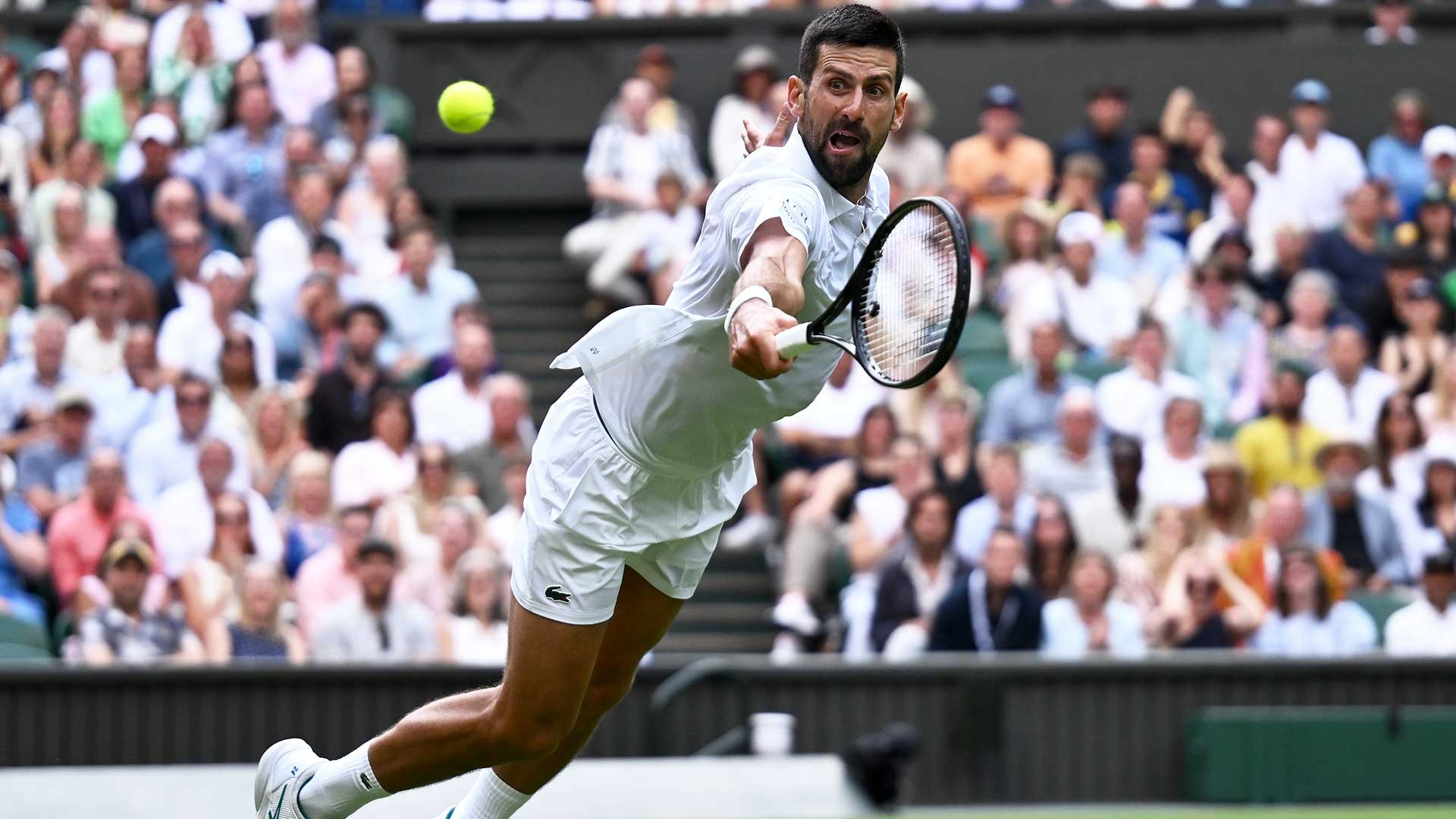 拉沃尔杯逆转温网，德约科维奇状态火热