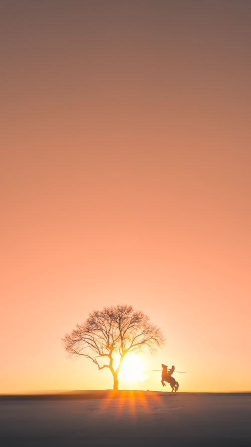 王朝更迭之夜，莫兰特关键三分终结广东王朝，辽宁队书写新传奇