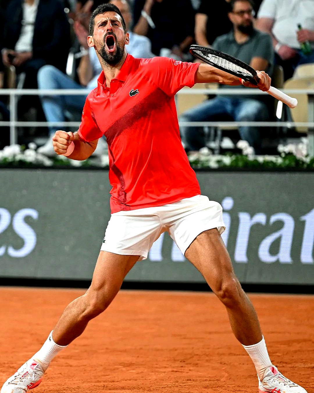 蒙特卡洛大师赛横扫戴维斯杯,德约科维奇刷新纪录 蒙特卡洛大师赛横扫戴维斯杯,德约科维奇刷新纪录