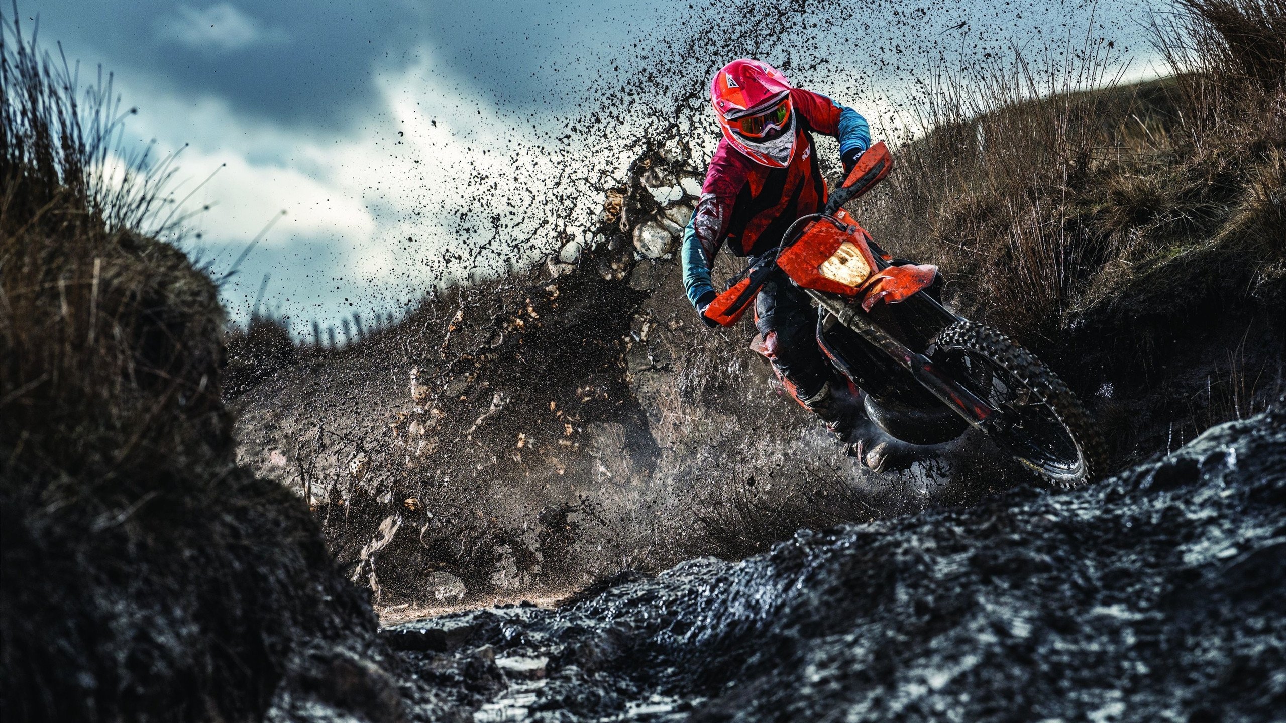 老鹰展翅击溃骑士，西亚卡姆关键先生本色尽显