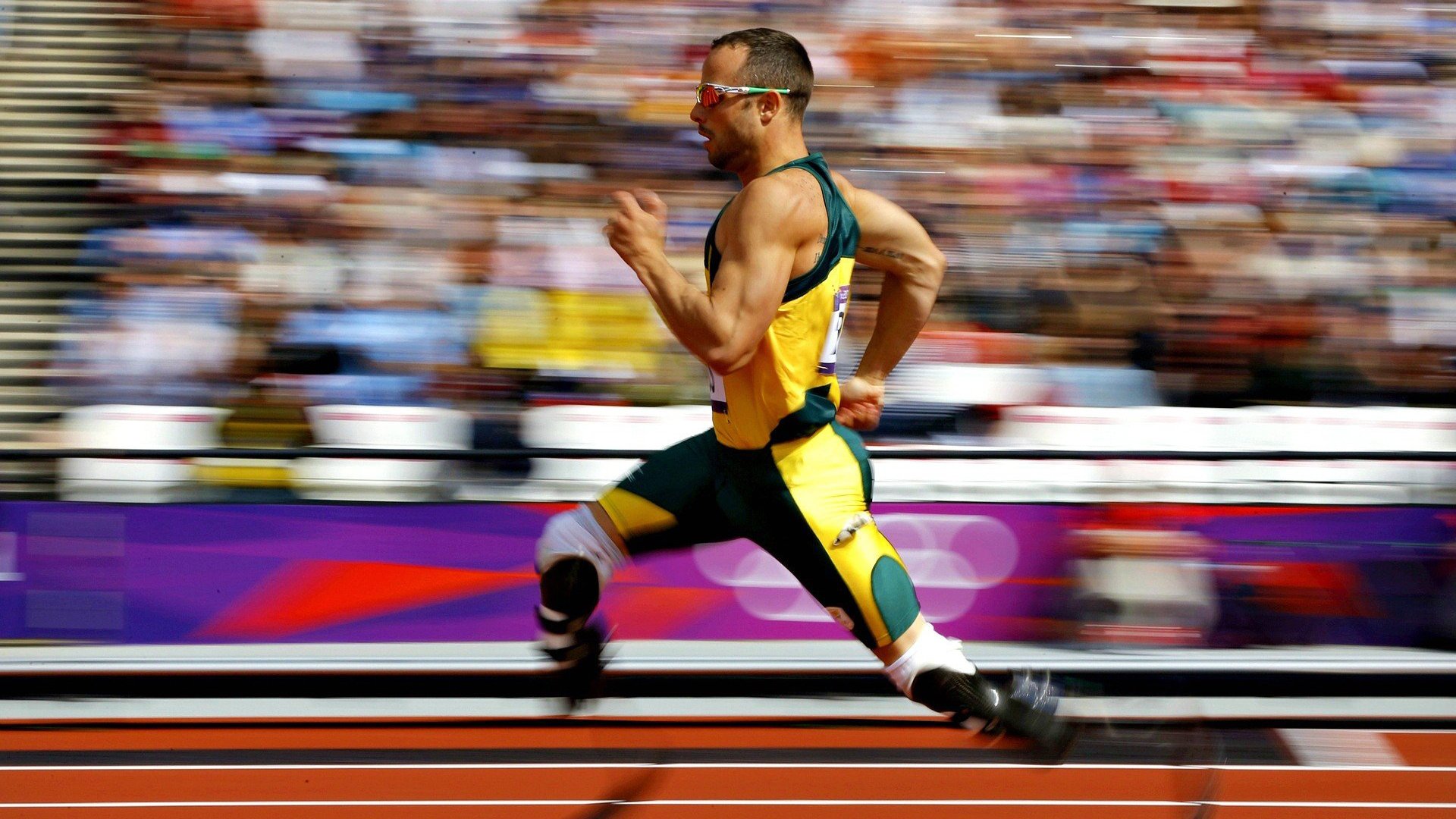 赛道上的两极，威廉姆斯的绝地反击与维斯塔潘的绝对统治